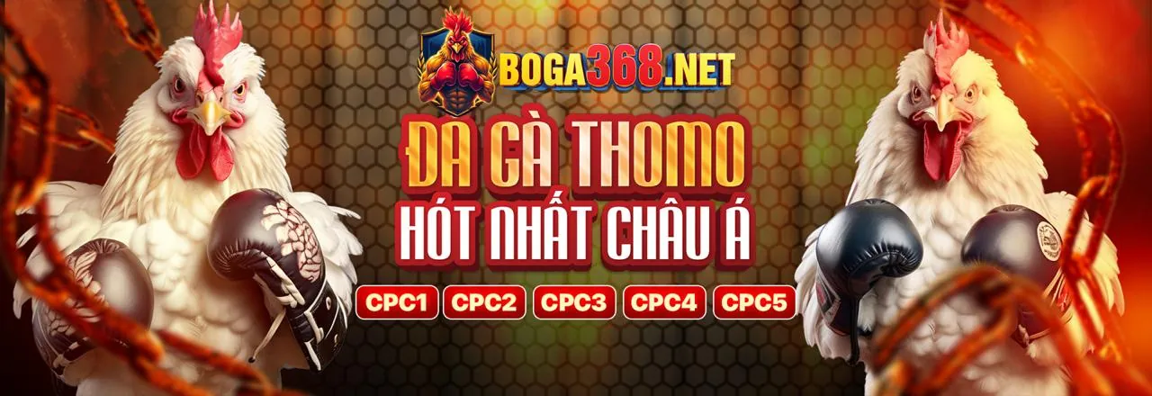 Giao diện cá cược thể thao thân thiện và hiện đại của TA88PRO